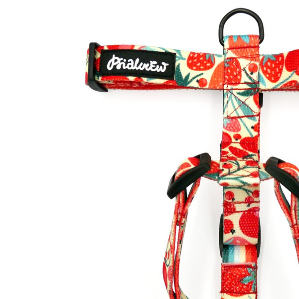Harness for Dog Fruit Jelly Psiakrew Guard Harness, black extras