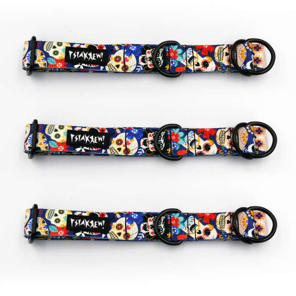 Half-choke collar Día de los Muertos, 2.5 cm wide, medium and big dogs, black extras