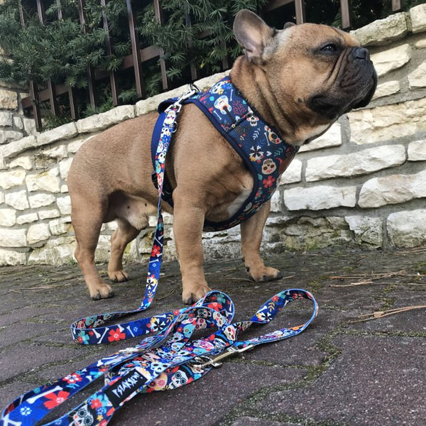 Dog Harness Día de los Muertos, Always Feeling Cool, Super Soft Psiakrew