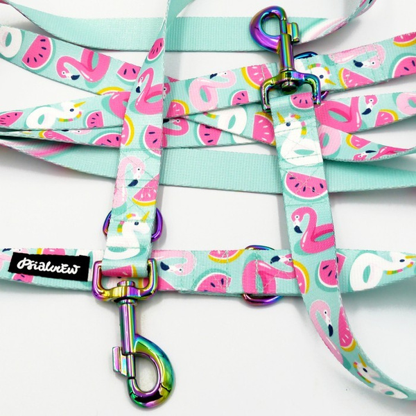 Dog Leash -Azure Pool, width 2.5 cm, 1"  wide, holo snap hook 8cm, Psiakrew
