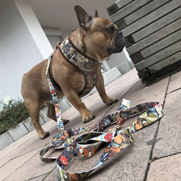 Dog Leash Forest Treasures width 2.5 cm, 1"  wide. pink gold, big snap hook 8 cm