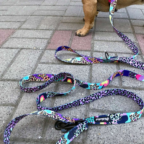 Dog Leash Crazy Leopard width 2.5 cm, 1" wide, snap hook black 8cm