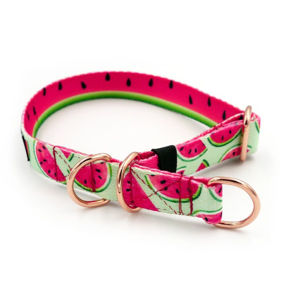 Half-Choke-Halsband Watermelon, 2 cm breit, für kleine Hunde, goldene Accessoires