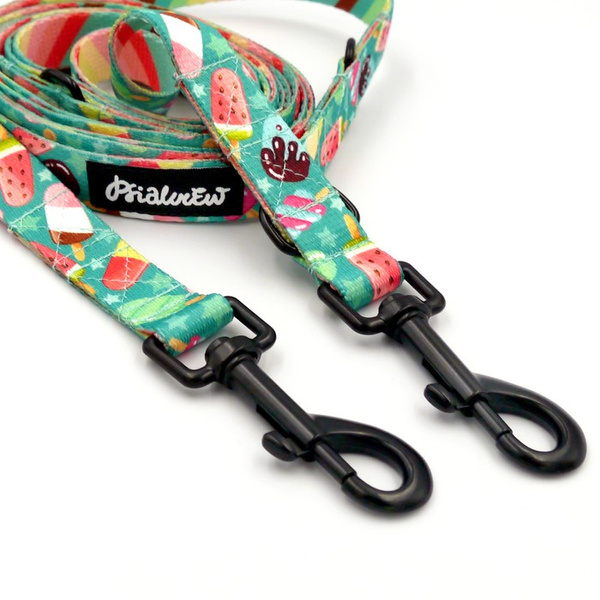 Long Dog Leash Ice Ice Baby Psiakrew width 2 cm (0.78"), black snap hook 7 cm (3,15")