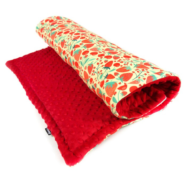 Premium Mat Plaid Blanket for the dog Fruit Jelly Psiakrew Design