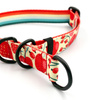 Half-choke collar Fruit Jelly Psiakrew, 2.5 cm wide, medium and big dogs, black extras