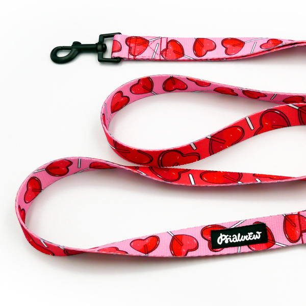 Dog Leash Lollipops Psiakrew width 2.5 cm, 1" wide, black snap hook 6 cm