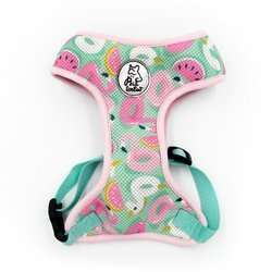 Szelki dla Psa Lazurowy Basen bezuciskowe Wygodne Ultramiękkie Psiakrew