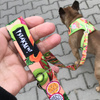 Dog Harness Tutti Frutti, Always Feeling Cool, Super Soft Psiakrew, fruity pattern
