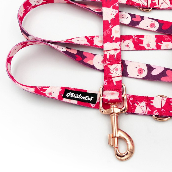 Lange Hundeleine abnehmbar verstellbar Piggy in Love Psiakrew Design Breite 2,5 cm, Karabiner roségold