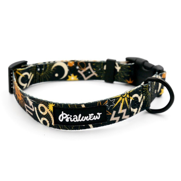 Dog Collar Psiakrew Zodiak 2.5 cm wide, black extras