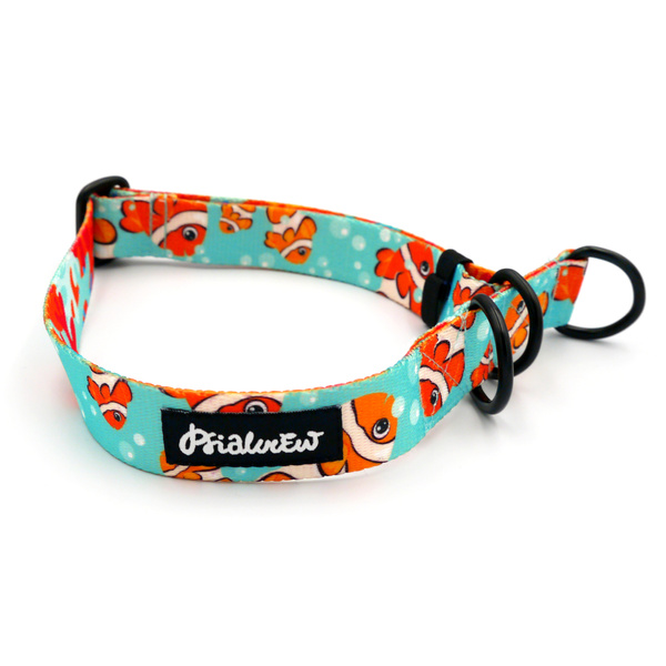 Half-choke collar Blue Lagoon Psiakrew, 2.5 cm wide, medium and big dogs, black extras