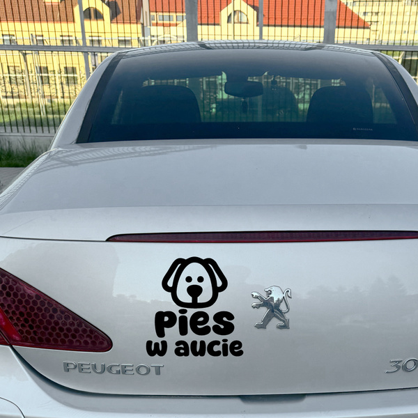 Naklejka Pies w aucie Psiakrew na szybę karoserię samochodową