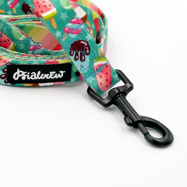 Walking leash for Dog Ice Ice Baby Psiakrew, width 2 cm, black snap hook 6 cm