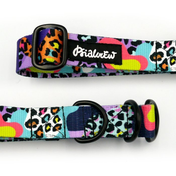 Half-choke collar Crazy Leopard, 2.5 cm wide, medium and big dogs, black extras