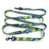 Dog Leash Peacock's Eye Psiakrew width 2.5 cm, 1"  wide, snap hook black 6cm