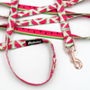 Long Dog Leash Watermelon Psiakrew width 2 cm (0.78") wide, rose gold snap hook 6 cm