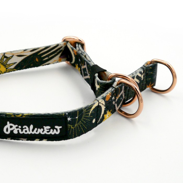 Half-Choke-Halsband Zodiak, 2 cm breit, für kleine Hunde, goldene Accessoires