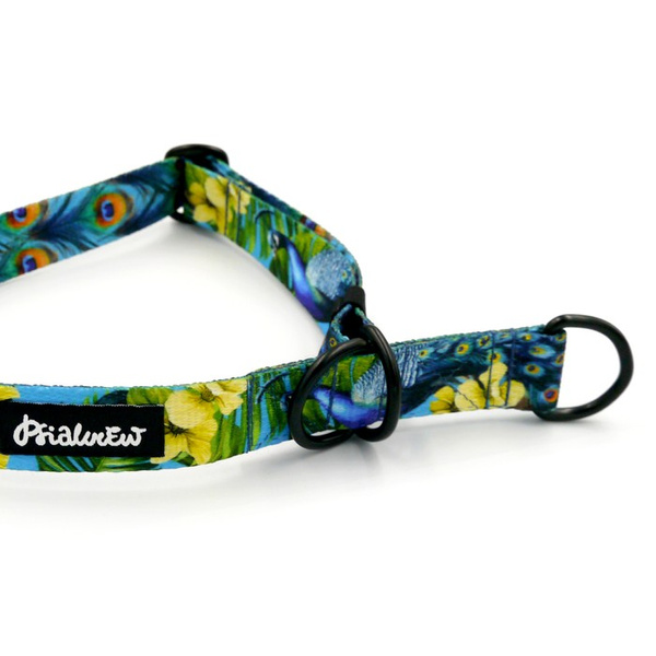 Halb-Klemmhalsband Peacock's Eye Psiakrew, 2,5 cm breit, für mittelgroße und größere Hunde, Schwarz-Beschläge