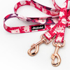Lange Hundeleine abnehmbar verstellbar Piggy in Love Psiakrew Design Breite 2,5 cm, Karabiner roségold