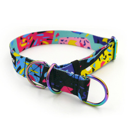 Half-choke collar Terrazzo, 3 cm wide, medium and big dogs,  holo extras