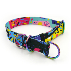 Terrazzo- Half-Clamp-Halsband, 3 cm breit, für mittlere und größere Hunde, holo Beschläge
