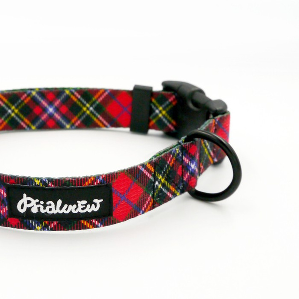 Dog Collar Tartan Psiakrew 2.5 cm wide, black extras