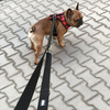 Dog Harness Lumberjack, Always Feeling Cool, Super Soft Psiakrew
