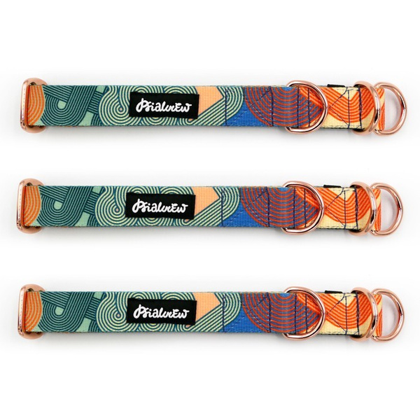 Halb-Klemmhalsband- Geo Snake, 2,5 cm breit, für mittelgroße und größere Hunde, Golden-Beschläge, Psiakrew