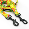 Hundeleine, lang, abnehmbar, verstellbar Lemonade Psiakrew, Breite 2 cm, Karabiner schwarz 7 cm