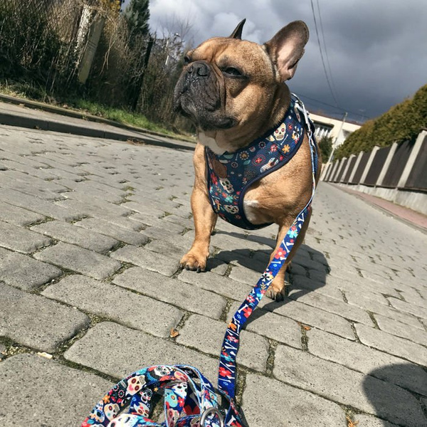 Dog Harness Día de los Muertos, Always Feeling Cool, Super Soft Psiakrew
