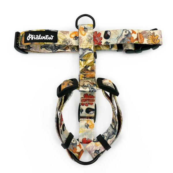 Small Guard Dog Harness Forest Treasures Psiakrew, Small Dog, Tape 2 cm, Black fittings