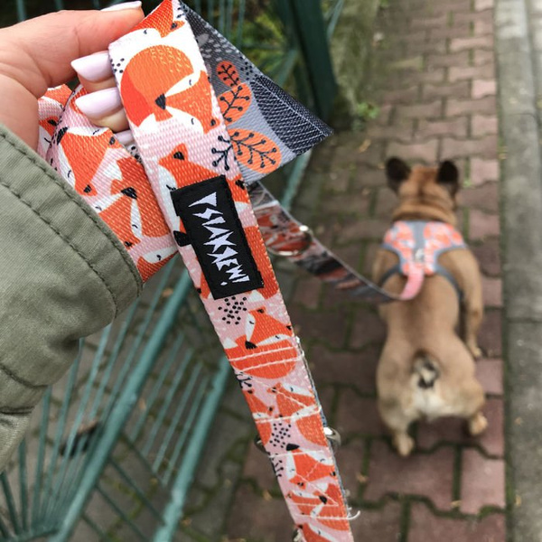 Dog Harness Foxy Lady, Always Feeling Cool, Super Soft Psiakrew