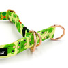 Half-choke collar Green Frogs, 2.5 cm wide, medium and big dogs, golden extras
