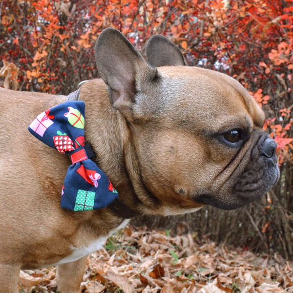 Dog Bow Tie, gift for dog, Pet Bow Tie, Bowtie, Collar Attachment, model Gift