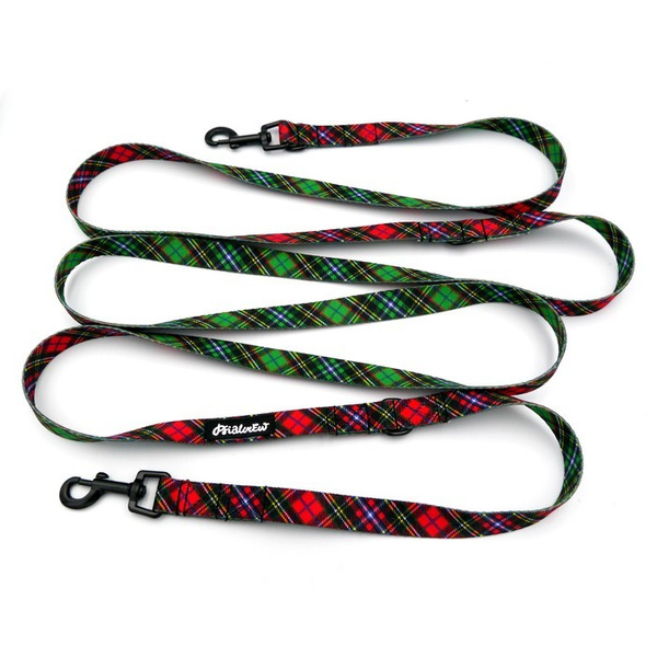 Hundeleine Tartan Psiakrew Breite 2 cm, schwarzer Karabinerhaken 6 cm