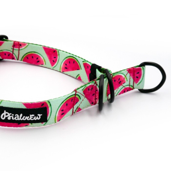 Half-choke collar Watermelon, 2.5 cm wide, medium and big dogs, black extras
