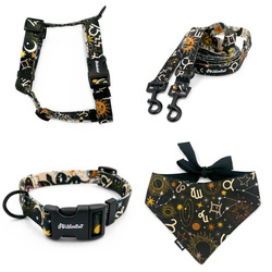 ACCESSORY KIT. Medium dog. Zodiak Psiakrew Series; Collar, Harness, Leash, Bandana