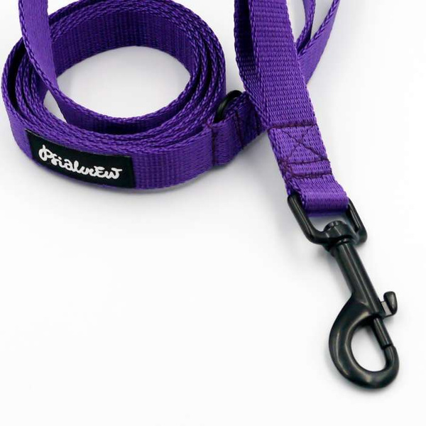 Purple Dog Leash width 2 cm 0.78 ", black extras