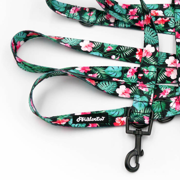 Hundeleine Tropical Monstera Psiakrew, Breite 2,5 cm, Karabiner 6 cm schwarz