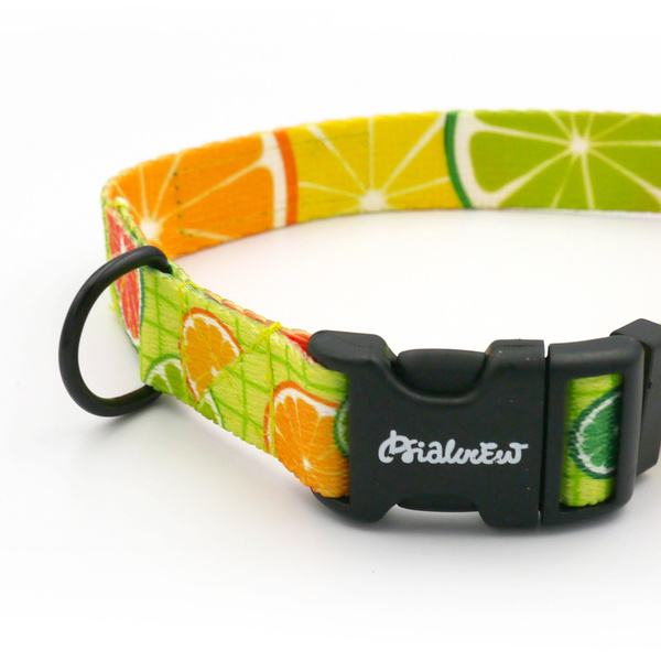 Dog Collar Lemonade Psiakrew, 2 cm 0.78" wide, for smaller dogs
