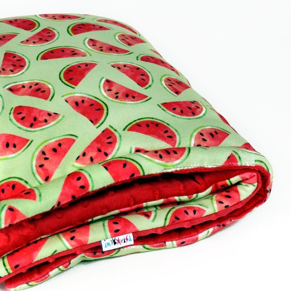Premium Mat Plaid Blanket for the dog, Watermelon Psiakrew Design