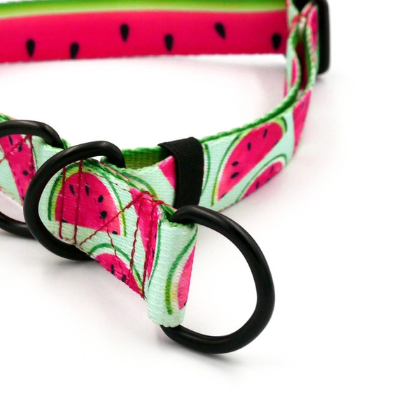 Half-choke collar Watermelon, 2.5 cm wide, medium and big dogs, black extras