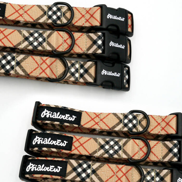 Verstellbares Halsband Dogberry Psiakrew, 2cm breit, schwarze Beschläge