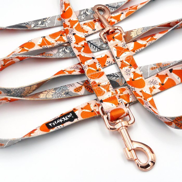 Dog Leash Foxy Lady width 2.5 cm, 1"  wide. pink gold, big snap hook 8 cm