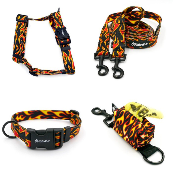 ZUBEHÖRSATZ. Mittlerer Hund. Dog on Fire Psiakrew - Serie; Halsband, Geschirr, Leine, Etui für Kotbeutel