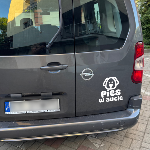 Naklejka Pies w aucie Psiakrew na szybę karoserię samochodową