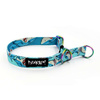 Half-choke collar Shark, 2 cm wide, for small dogs, Holo extras