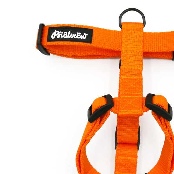 Orange Harness for Dog, Guard Harness Small Harness for small dogs, puppies, black extras
