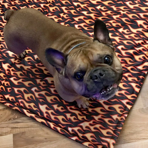Waterproof Mat for the dog, puppy, cat, Dog On Fire , Psiakrew Design